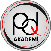 PD Akademi